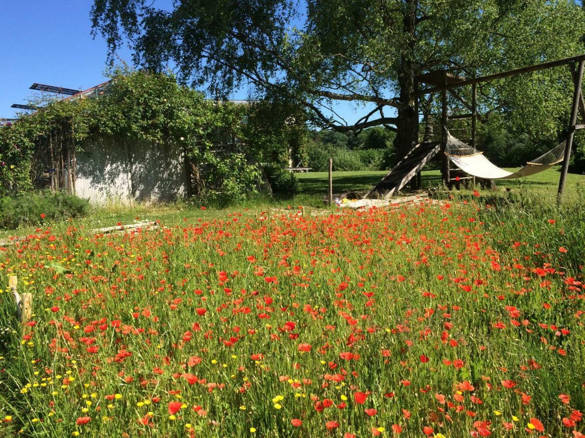 Le Jardin Des Sources Panzió La Hulpe Kültér fotó
