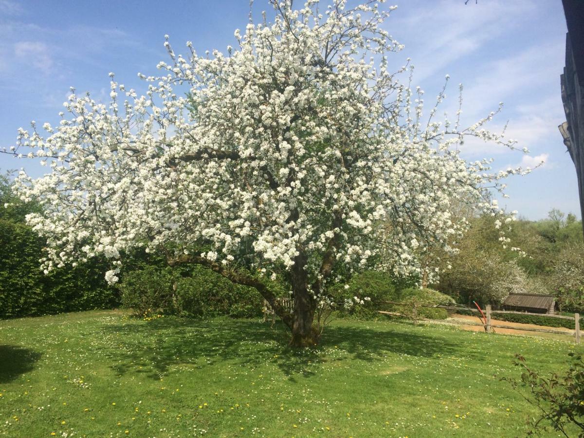 Le Jardin Des Sources Panzió La Hulpe Kültér fotó